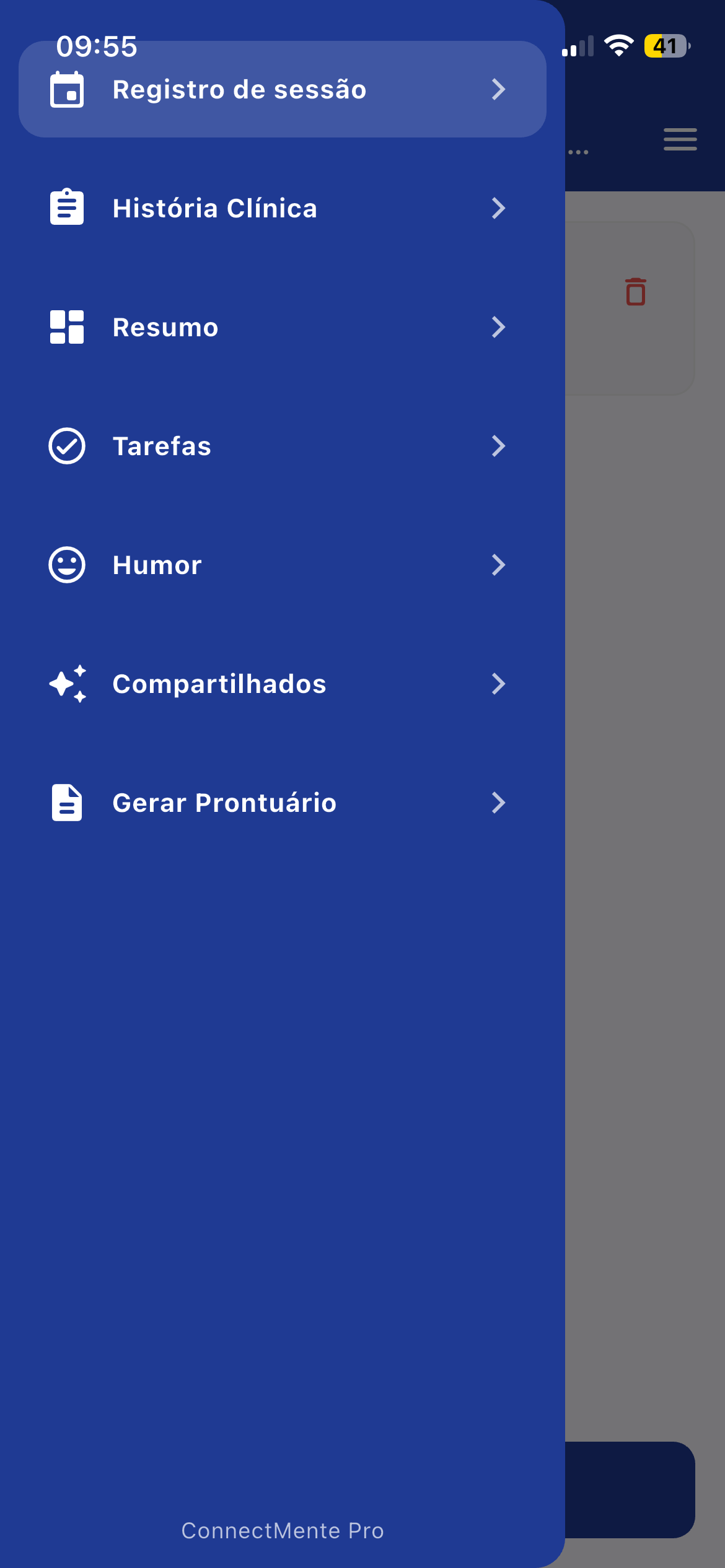 Menu real do prontuário com registro de sessão, história clínica, resumos, tarefas, humor e compartilhados